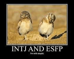 ESFP Meme 2