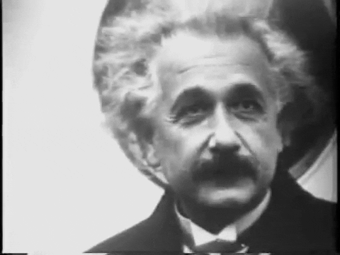 INTP Albert Einstein