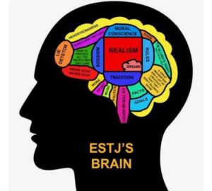 ESTJ Brain