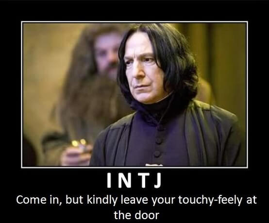 INTJ Overview  Intj humor, Intj personality, Intj