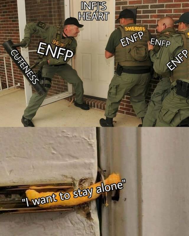 ENFP Meme Example