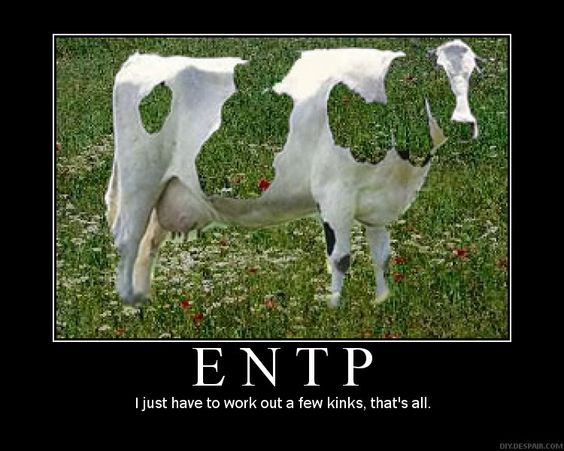 ENTP Meme Example