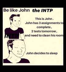 INTP Meme Example