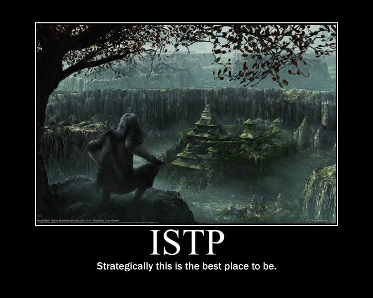 ISTP Meme Example