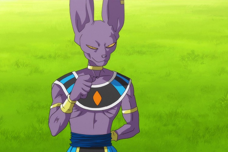 Beerus - Dragon Ball Z