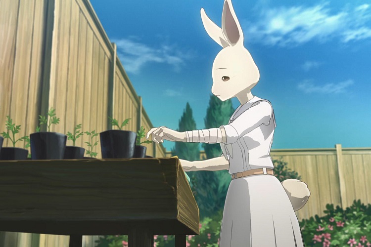 Haru—Beastars