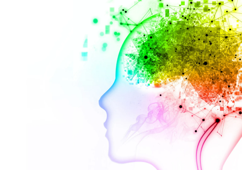 The Power of Multiple Intelligences