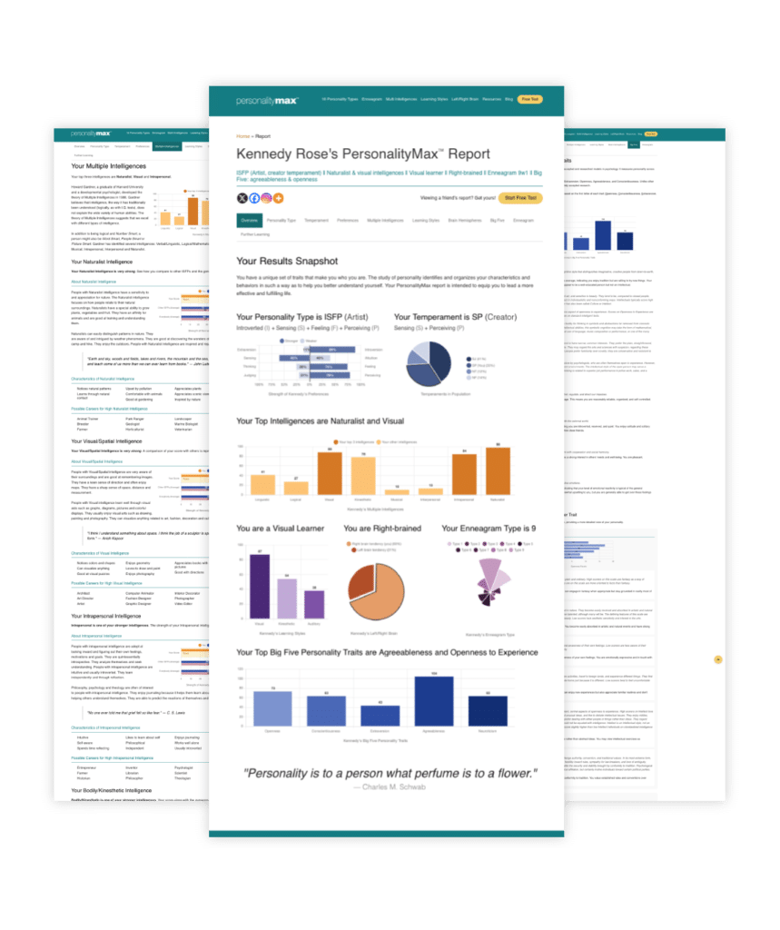 Personality Test Result Pages including overview page, Big Five report output, and multiple intelligence report details